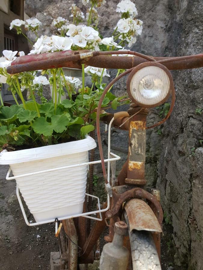 My Home 索伦托 外观 照片
